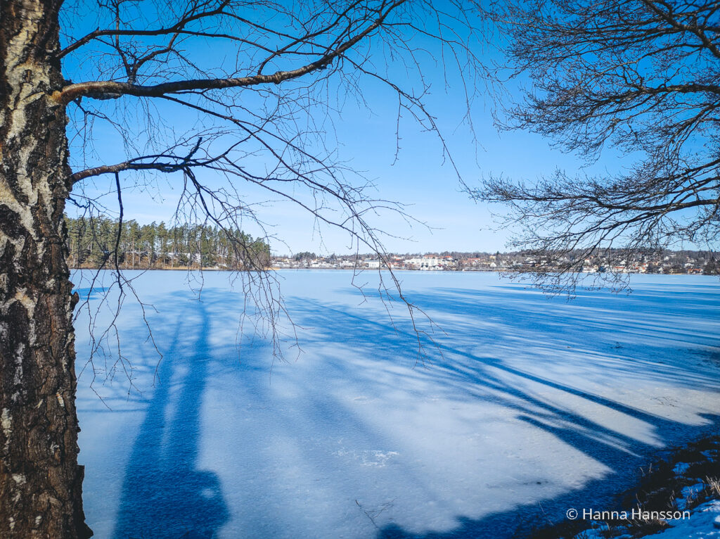 Utsikt över Mullsjön när solen skiner och isen håller på att gå upp